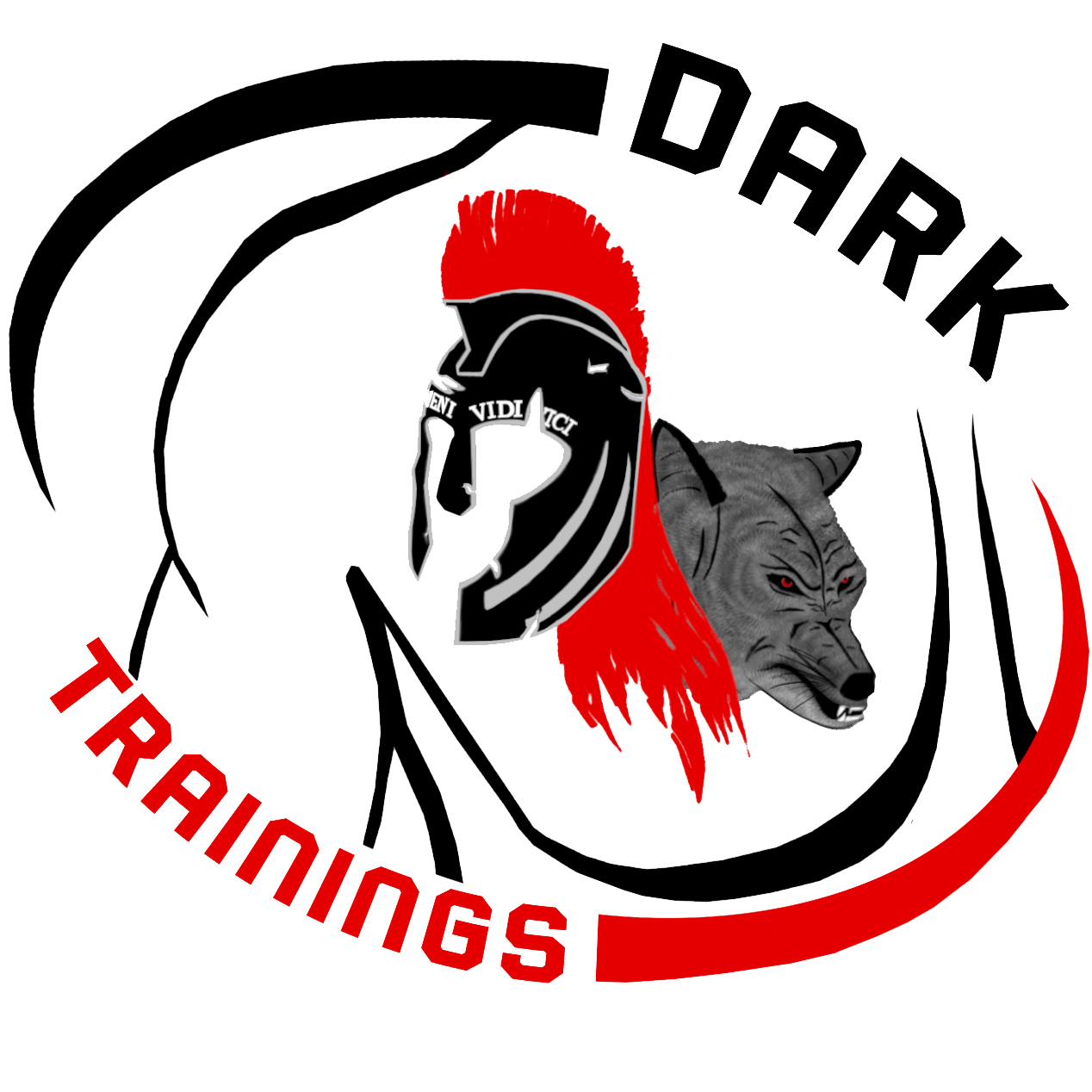 Dark Training